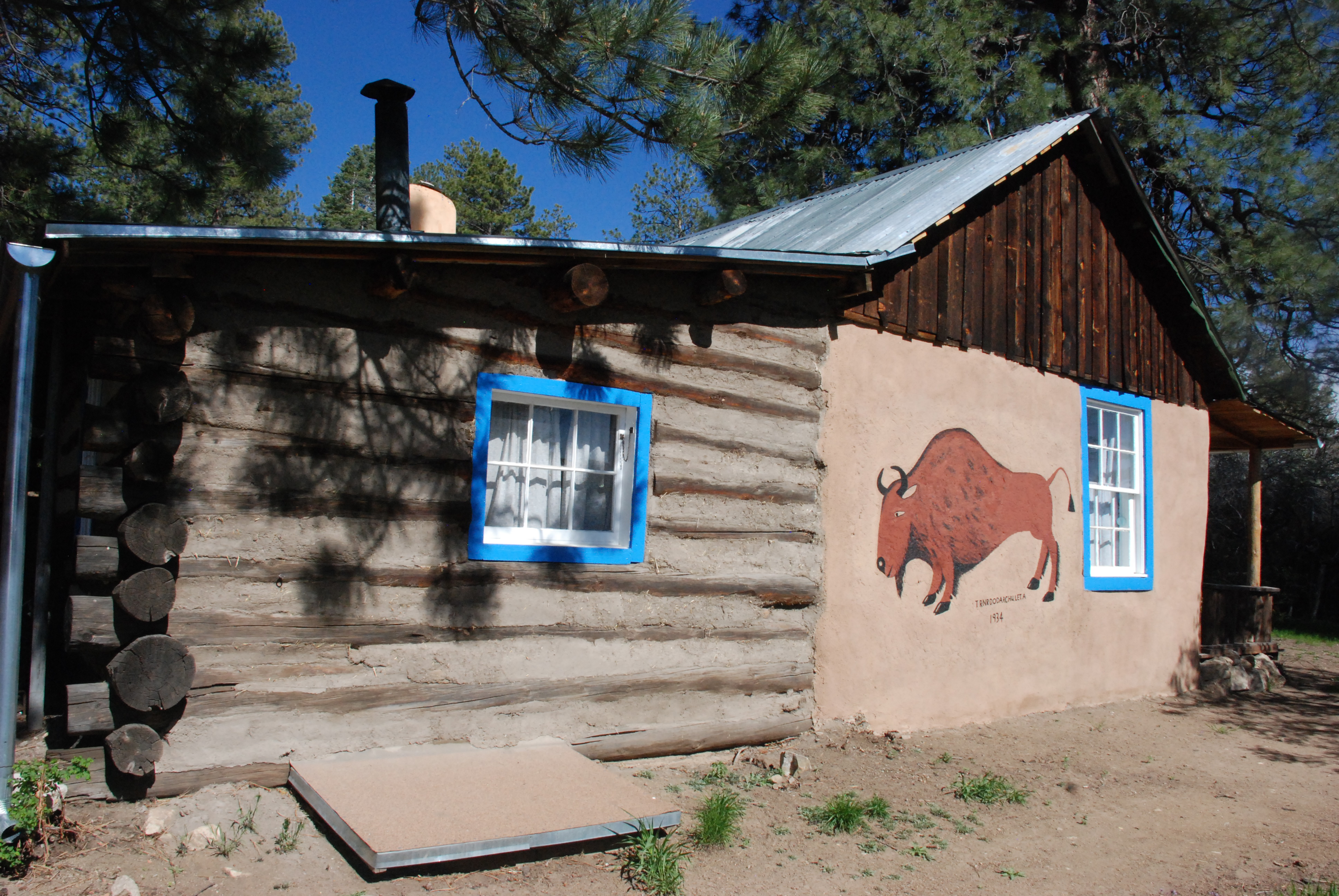 centenary-lawrence-lecture-cabin-with-buffalo-painting