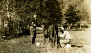 DH_Lawrence_Ranch_Taos_New_Mexico_Lawrence_milking_Susan_the_cow-300x176